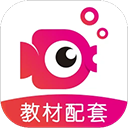 鲤鱼辅导
