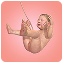 人类进化史游戏手机版